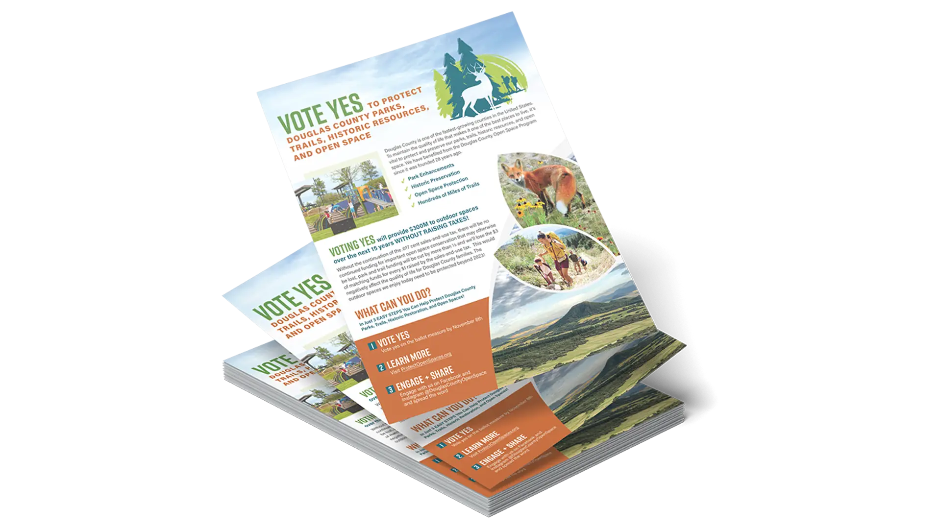 POS Flyer